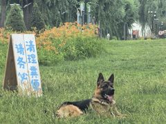 -小意思咖啡店(草桥店)