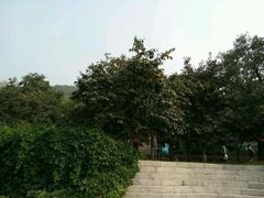 -石老人观光园