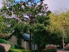 -徐家汇源景区-衡山公园