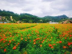 -哒啦仙谷旅游景区