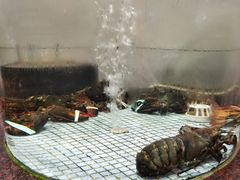 -新海利海鲜城·41年珠海老字号(夏湾店)
