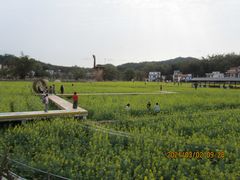 -红山村