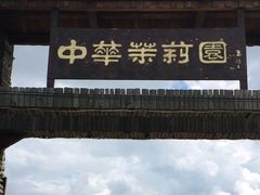 -中华茉莉园