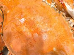 -北塘海鲜·天津菜(大光明桥旗舰店)