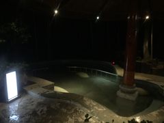 御水温泉-天目湖御水温泉·度假酒店