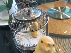 -好彩海鲜火锅饭店(银河百老汇店)