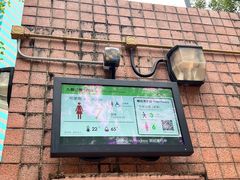 -九龙公园
