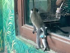 -济南野生动物世界