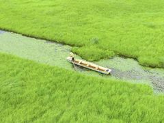 -腾冲北海湿地