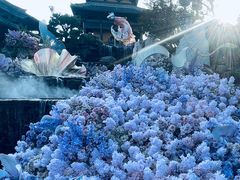 -茅山东方盐湖城景区