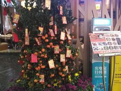 -新兴·金羊座·粤菜点心(乐峰店)