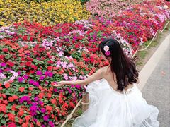 -东莞植物园