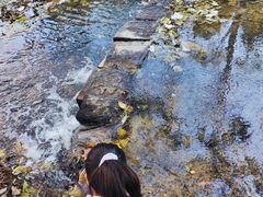 -白水寺森林公园