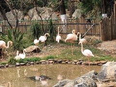-昆明动物园