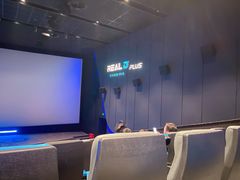 -奥斯卡升龙国际影城(RealD Cinema)