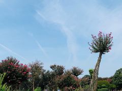 -武汉紫薇都市田园