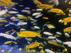 -成都浩海立方海洋公园