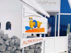 -Blue Concept Cafe&Farm·關於藍