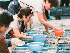 -清平路水族市场