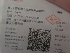 -SFC上影影城(北京大兴龙湖天街IMAX店)