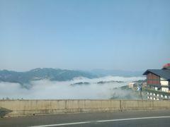 -西江老字号徽记毛豆腐