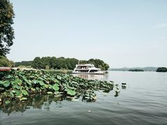 -西湖外事游船(花港观鱼码头)