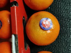 -叶氏兄弟(大连奥特莱斯店)