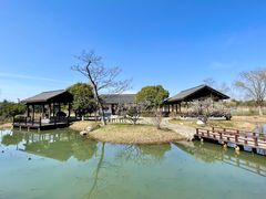 -尚湖风景区