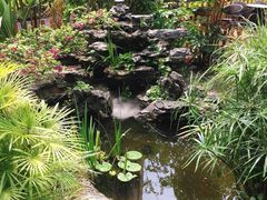 -聚缘·湘味音乐餐厅party(罗湖店)