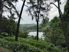 -九龙潭景区