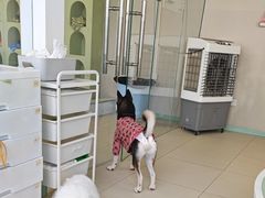 -怪兽屋·羊驼·猫咖·狗咖(俊华广场店)