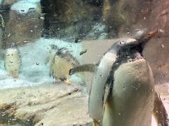 -波塞冬旅游度假区