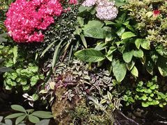 -颐而康·按摩·艾灸·足疗(汽车东站店)