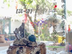 -喵屿·大理花园猫咖