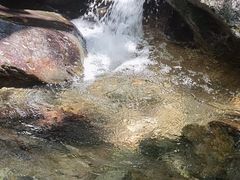 -南丹山森林王国