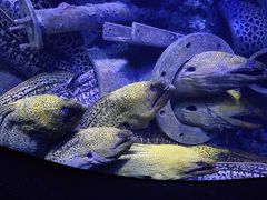 -成都浩海立方海洋公园