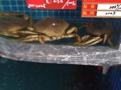 -骏莱海鲜鱼港(五角场店)