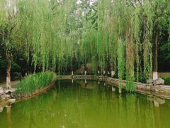 -西安市长乐公园