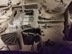 -洛阳周王城天子驾六博物馆