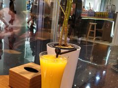 -藏猫猫咖啡主题馆(中央大道店)