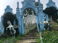 -大塘金香草谷