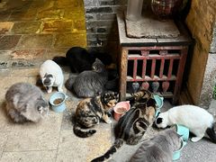 -老屋咖啡