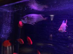 -手佳·水疗汇(嘉益店)