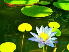 -国家植物园南园