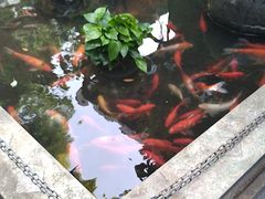 -野蔓果·山野菜(西湖景区·龙井茶田店)