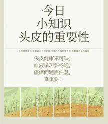 -Bollins波林丝•专研护发中心