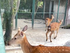 -宁波野生动物园