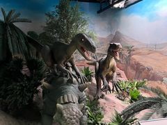 -国家自然博物馆