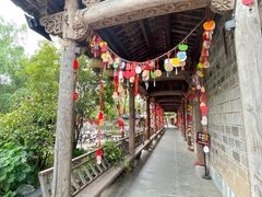 -芜湖新华联大白鲸海洋公园