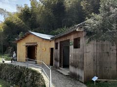 -宁波浙东大竹海景区